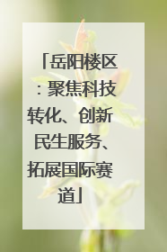 岳阳楼区：聚焦科技转化、创新民生服务、拓展国际赛道